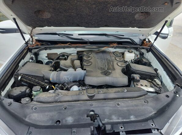 JTENU5JR1P6181083 2023 TOYOTA 4RUNNER White Vista interior trasera