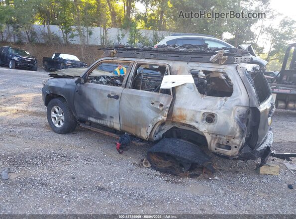 JTENU5JR3R6253002 2024 TOYOTA 4RUNNER Серый Задняя левая четверть