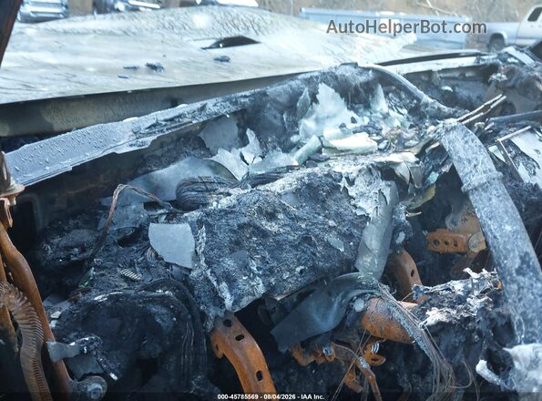 JTENU5JR3R6253002 2024 TOYOTA 4RUNNER Серый Вид задних сидений