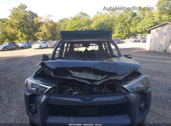 JTENU5JR3R6253002 2024 TOYOTA 4RUNNER Серый Вид спереди