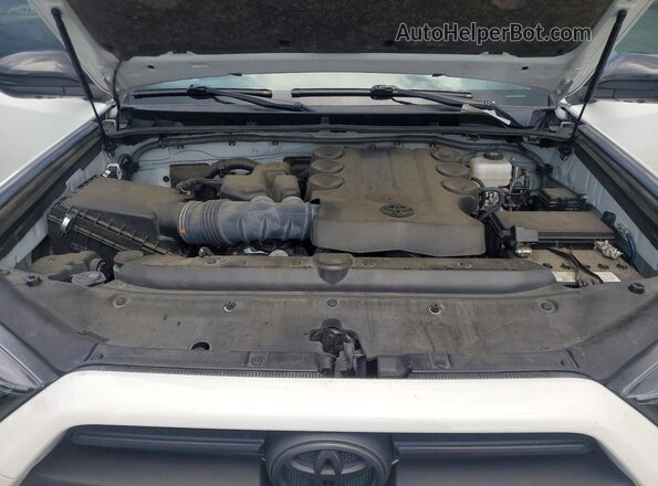 JTERU5JR1R6258104 2024 TOYOTA 4RUNNER White Rear interior view