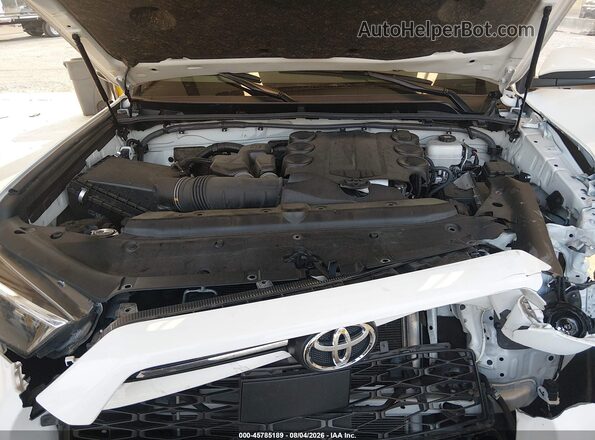 JTERU5JR7P6212399 2023 TOYOTA 4RUNNER White Rear view