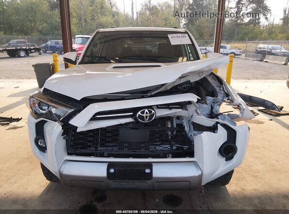 JTERU5JR7P6212399 2023 TOYOTA 4RUNNER White Rear interior view