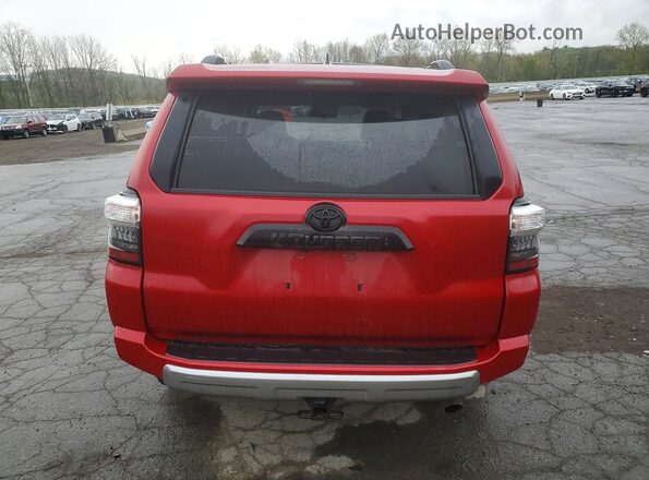 JTERU5JR9P6192639 2023 TOYOTA 4RUNNER Red Widok z tyłu