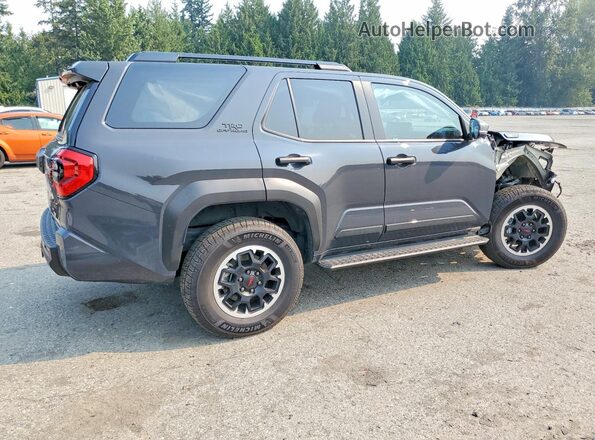 JTEVB5BR4S5010539 2025 TOYOTA 4RUNNER Серый Задняя правая четверть