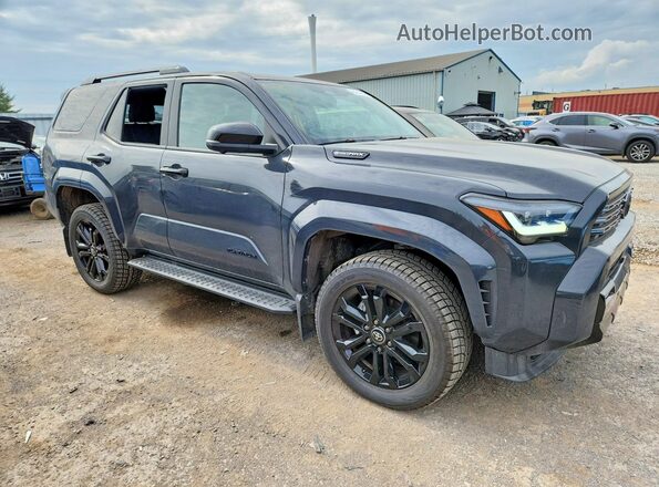 JTEVB5BR7S5024029 2025 TOYOTA 4RUNNER Gray წინა მარჯვენა