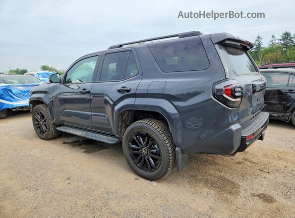 JTEVB5BR7S5024029 2025 TOYOTA 4RUNNER Gray უკანა მარცხენა