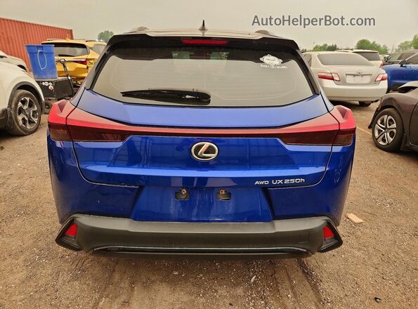 JTHB9JBH0R2071691 2024 LEXUS UX Blue Widok z tyłu