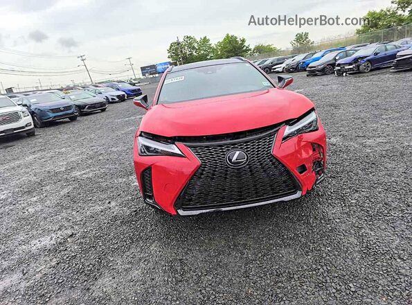 JTHB9JBH5P2067701 2023 LEXUS UX Red Widok z przodu