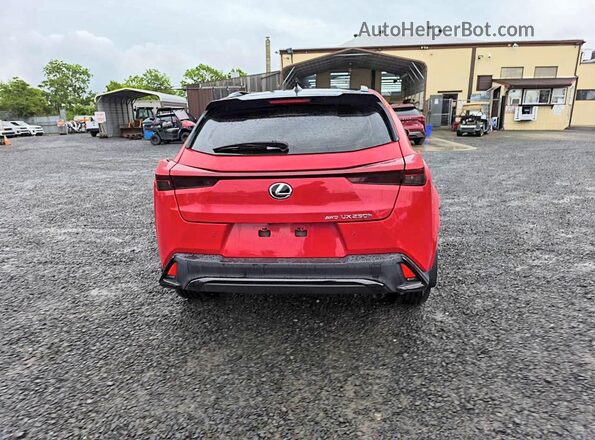 JTHB9JBH5P2067701 2023 LEXUS UX Red Widok z tyłu