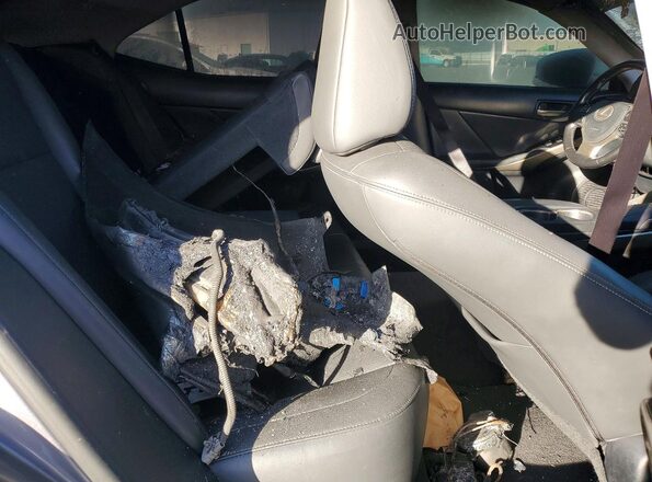 JTHBA1D25H5039235 2017 LEXUS IS Серый Вид задних сидений