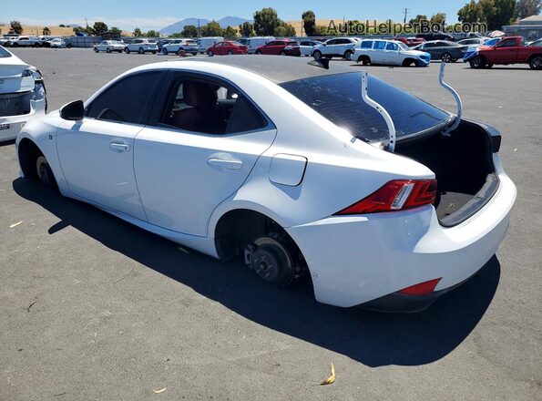 JTHBA1D28G5021892 2016 LEXUS IS White Задня ліва чверть
