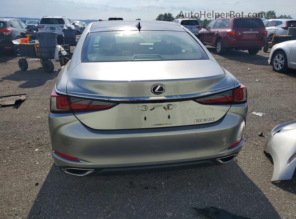 JTHBZ1B13K2002583 2019 LEXUS ES Silver Rear view