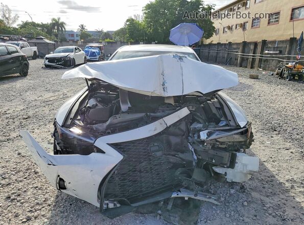 JTHBZ1B2XR5079596 2024 LEXUS IS Белый Вид спереди