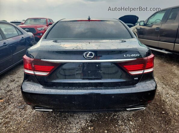 JTHCL5EF1G5026763 2016 LEXUS LS Черный Вид сзади