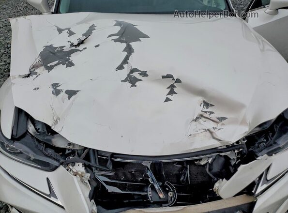 JTHCM1D26H5021189 2017 LEXUS IS White Սալոնի հետևի տեսք