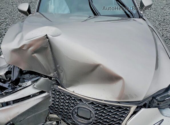 JTHG81F2XL5042638 2020 LEXUS IS Серый Вид задней части салона
