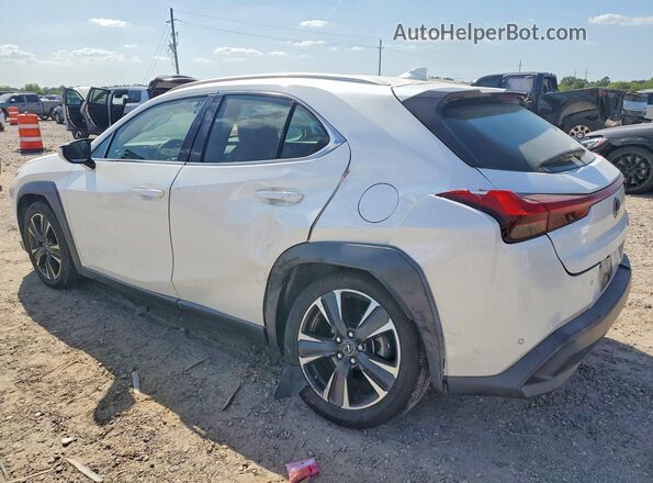 JTHP3JBH5L2021044 2020 LEXUS UX White Հետևի ձախ