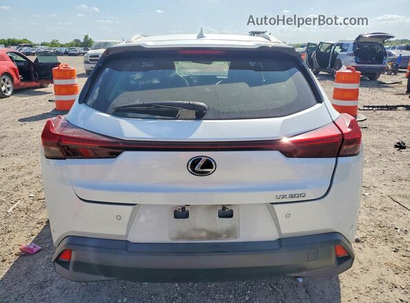 JTHP3JBH5L2021044 2020 LEXUS UX White Հետևի տեսք