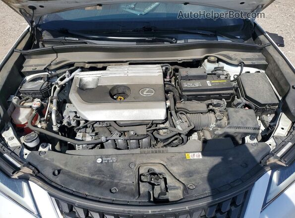 JTHP3JBH5L2021044 2020 LEXUS UX White Սալոնի հետևի տեսք