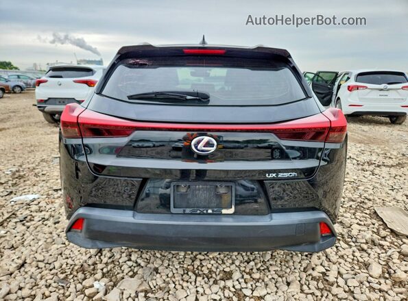 JTHP9JBH1L2033576 2020 LEXUS UX Black Rear view