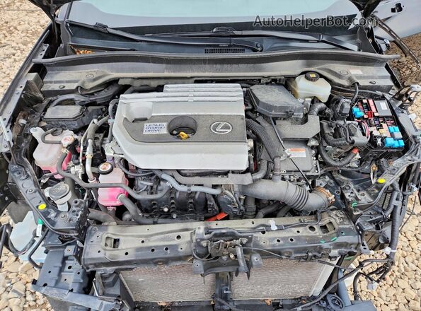JTHP9JBH1L2033576 2020 LEXUS UX Black Engine compartment view