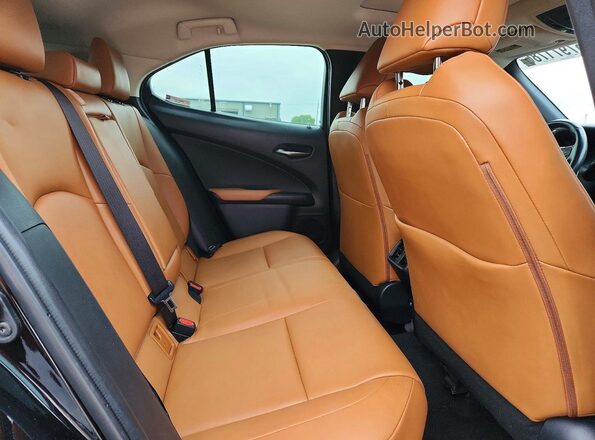 JTHP9JBH1L2033576 2020 LEXUS UX Black Rear interior view