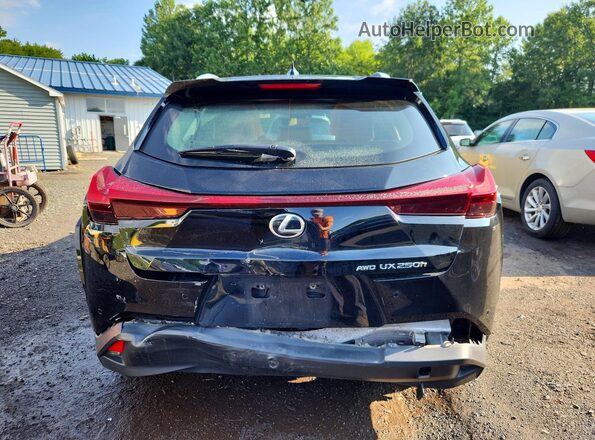 JTHP9JBH3P2067850 2023 LEXUS UX Black Vista trasera