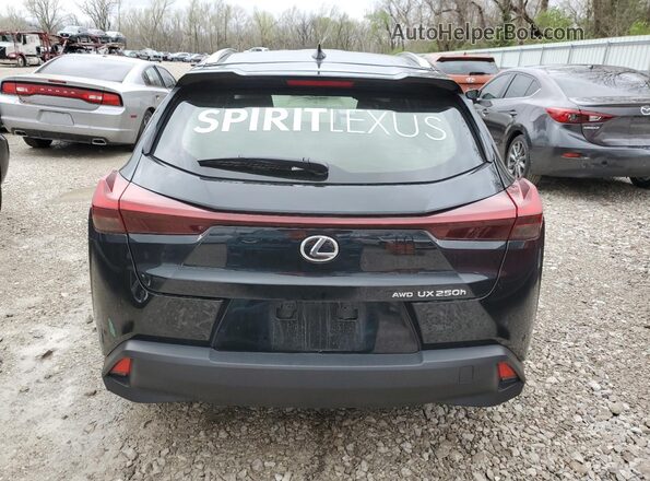 JTHP9JBH3R2071271 2024 LEXUS UX Black Widok z tyłu