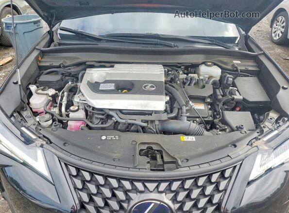 JTHP9JBH4N2058720 2022 LEXUS UX Black Vista interior trasera