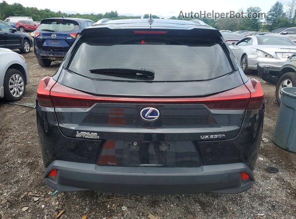 JTHP9JBH4N2058720 2022 LEXUS UX Black Vista trasera