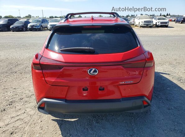 JTHP9JBH6L2022668 2020 LEXUS UX Red Widok z tyłu