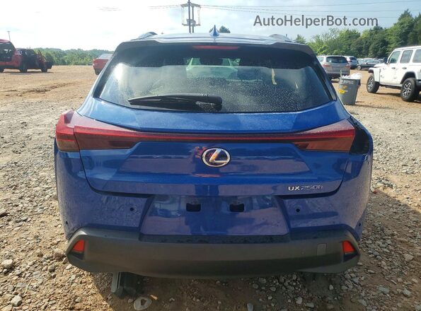 JTHP9JBH6M2047331 2021 LEXUS UX Синий Вид сзади
