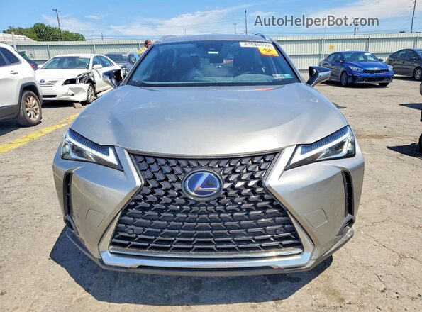 JTHP9JBH7M2040906 2021 LEXUS UX Gray Вид спереду