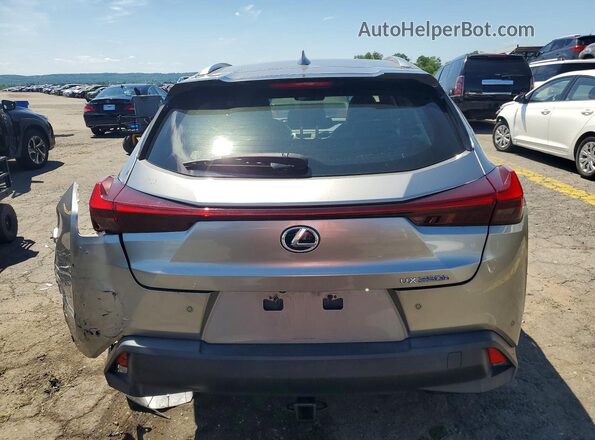 JTHP9JBH7M2040906 2021 LEXUS UX Gray Вид ззаду
