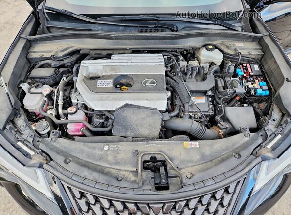 JTHP9JBH7M2052716 2021 LEXUS UX Black Engine compartment view