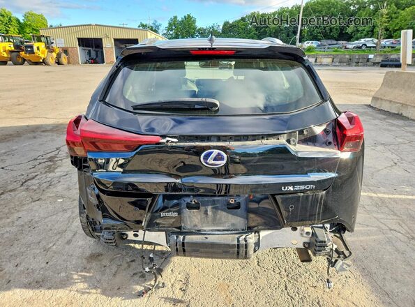 JTHP9JBH7M2052716 2021 LEXUS UX Black Rear view