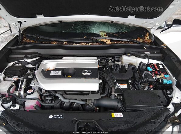 JTHP9JBH7N2060669 2022 LEXUS UX 250H White უკანა ხედი