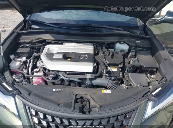 JTHP9JBH8M2040509 2021 LEXUS UX 250H Green Widok z tyłu