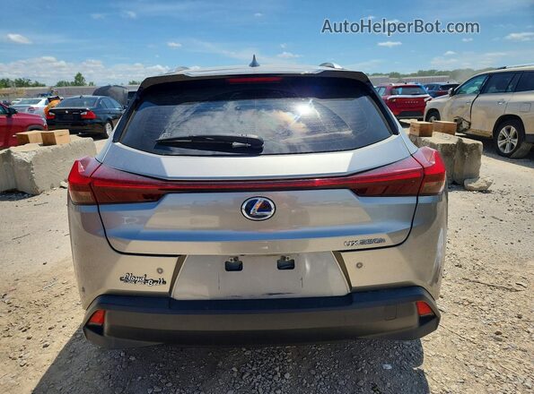 JTHP9JBH9L2032840 2020 LEXUS UX Gray Widok z tyłu