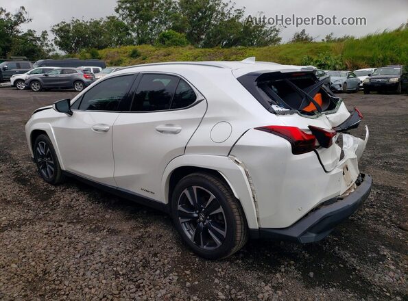 JTHP9JBHXN2056048 2022 LEXUS UX White Trasero izquierdo