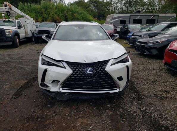 JTHP9JBHXN2056048 2022 LEXUS UX White Vista frontal