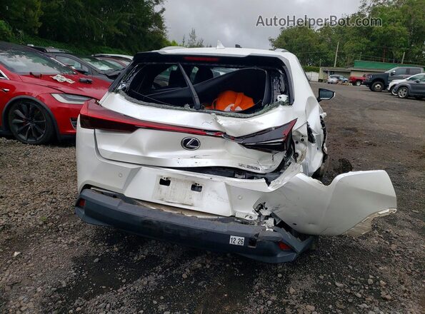 JTHP9JBHXN2056048 2022 LEXUS UX White Vista trasera