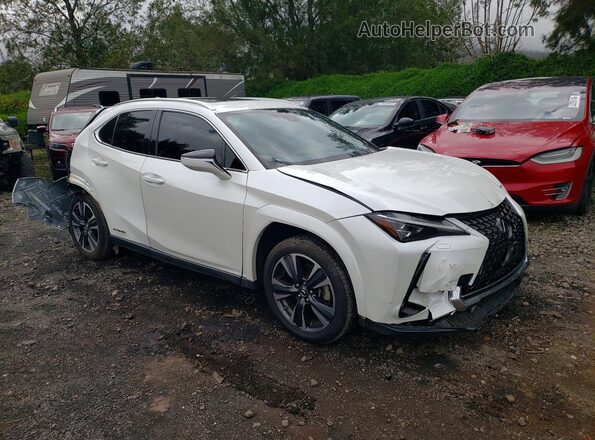 JTHP9JBHXN2056048 2022 LEXUS UX White Delantero derecho