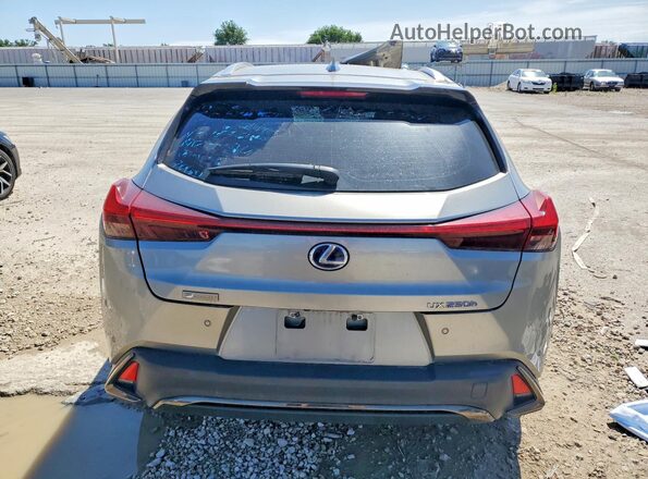 JTHR9JBH2L2033644 2020 LEXUS UX Silver Rear view