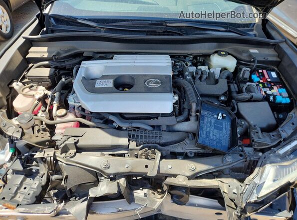 JTHR9JBHXM2054291 2021 LEXUS UX Black უკანა სალონის ხედი