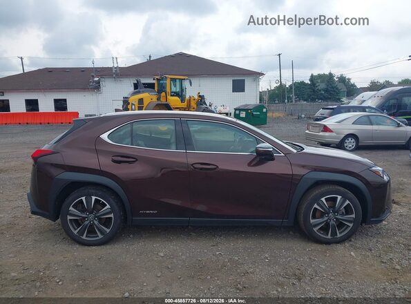 JTHU9JBH2K2011474 2019 LEXUS UX 250H Brown Панорамний вид салону 360°