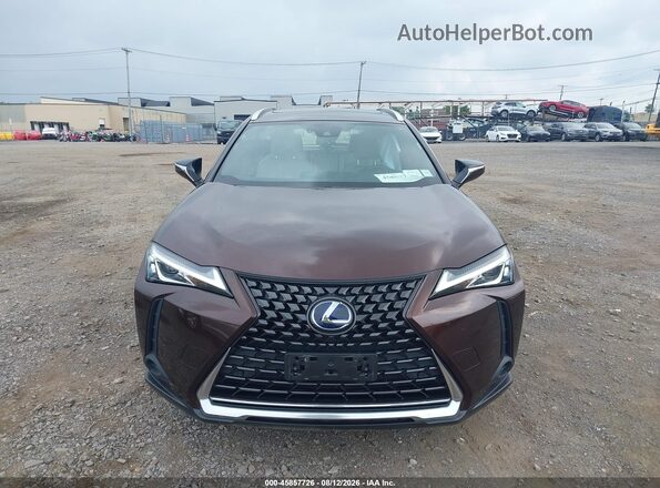 JTHU9JBH2K2011474 2019 LEXUS UX 250H Brown Вид задньої частини салону