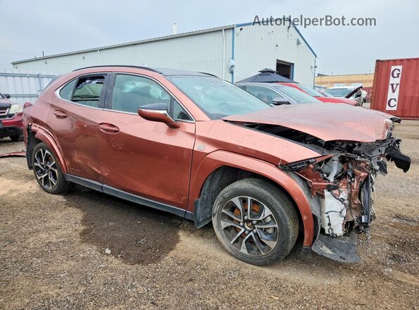 JTHUCJDH3S2008839 2025 LEXUS UX Orange Առջևի աջ