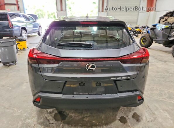 JTHUCJDH6S2005711 2025 LEXUS UX Gray უკანა ხედი